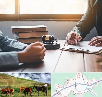 وکیل جنایی در تالش