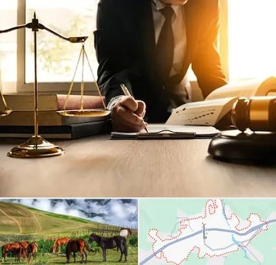 وکیل مالیاتی در تالش