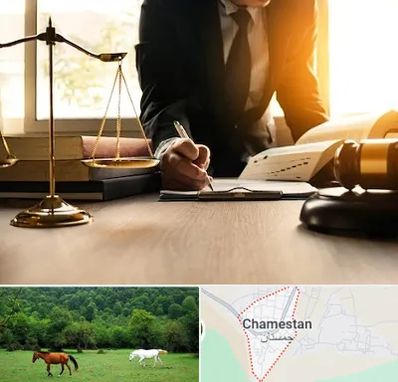 وکیل مالیاتی در چمستان