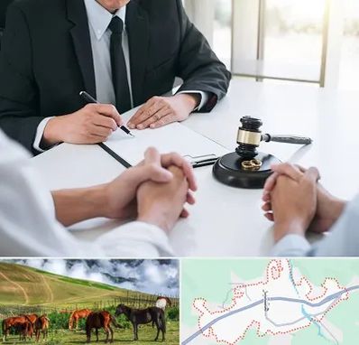 وکیل طلاق در تالش