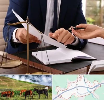 وکیل با تجربه در تالش