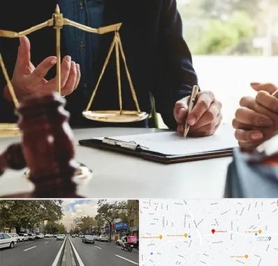 وکیل مهاجرت در دولت