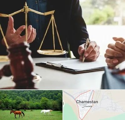 وکیل مهاجرت در چمستان