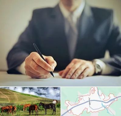 وکیل جرایم پزشکی در تالش