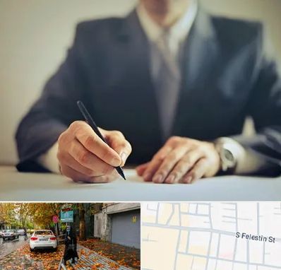 وکیل جرایم پزشکی در خیابان فلسطین