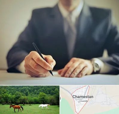 وکیل جرایم پزشکی در چمستان