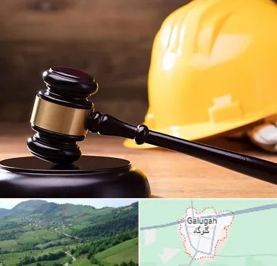 وکیل شهرداری در گلوگاه
