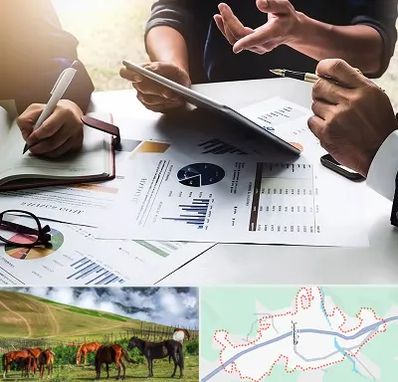 شرکت بازرگانی در تالش