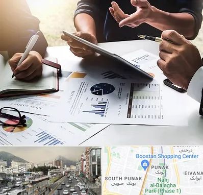 شرکت بازرگانی در پونک