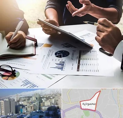 شرکت بازرگانی در محمودیه