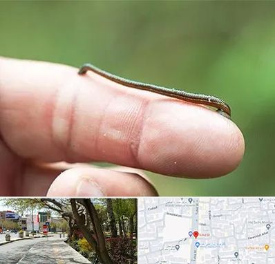 مرکز زالو درمانی در خیابان توحید اصفهان