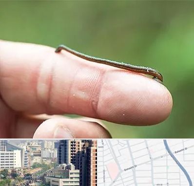 مرکز زالو درمانی در خیابان بهشتی