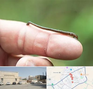 مرکز زالو درمانی در نواب اسلامشهر