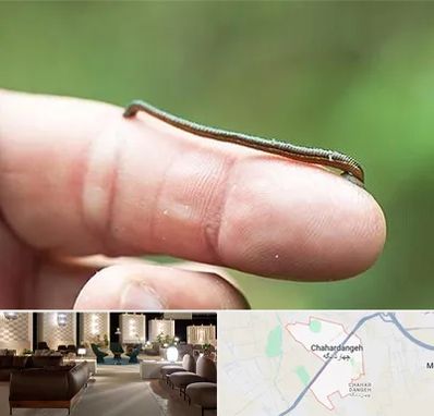 مرکز زالو درمانی در چهاردانگه