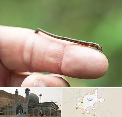 مرکز زالو درمانی در شهرضا