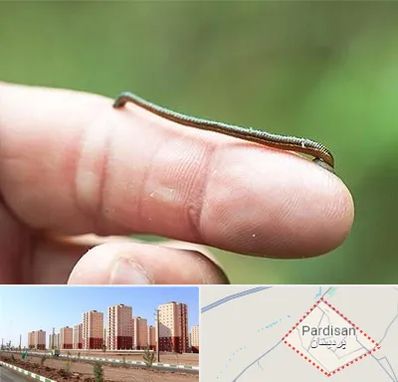 مرکز زالو درمانی در پردیسان قم