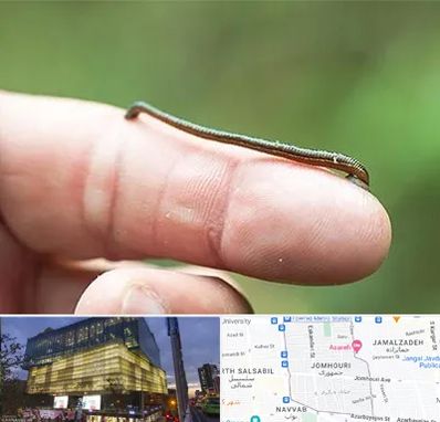 مرکز زالو درمانی در جمهوری