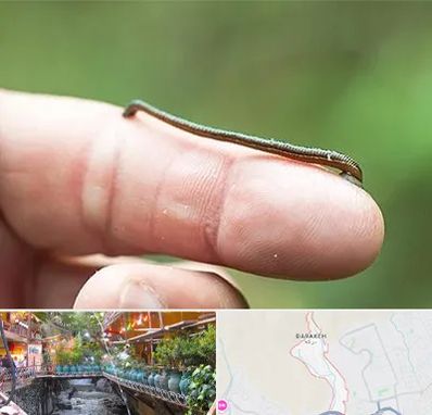 مرکز زالو درمانی در درکه