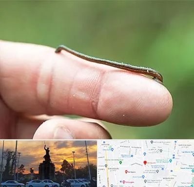 مرکز زالو درمانی در میدان حر