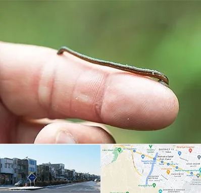 مرکز زالو درمانی در شریعتی مشهد