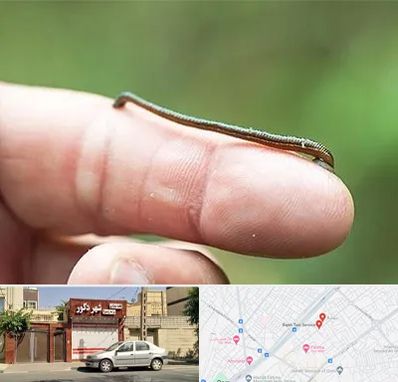 مرکز زالو درمانی در باجک قم