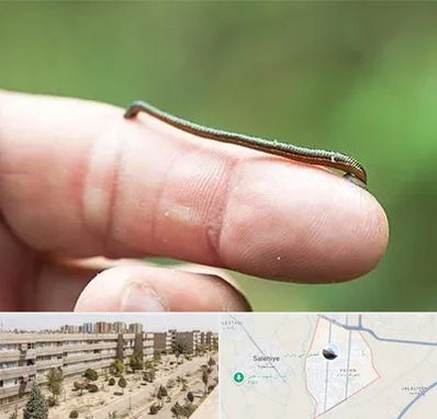 مرکز زالو درمانی در واوان اسلامشهر