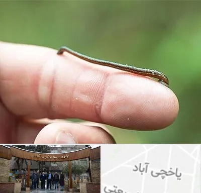 مرکز زالو درمانی در یاخچی آباد