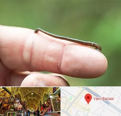 مرکز زالو درمانی در بازار وکیل شیراز