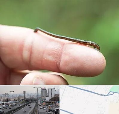 مرکز زالو درمانی در بلوار ارتش