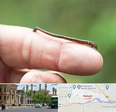 مرکز زالو درمانی در پاکدشت