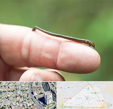 مرکز زالو درمانی در قاسم آباد مشهد