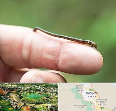 مرکز زالو درمانی در بروجرد