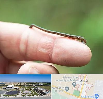 مرکز زالو درمانی در ملارد