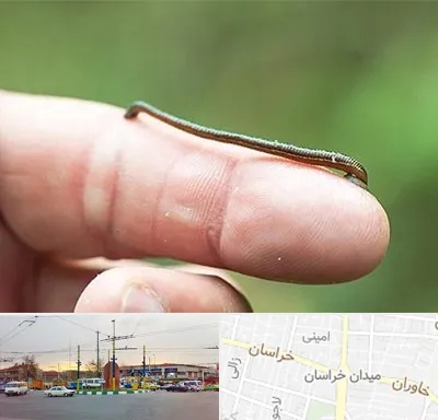 مرکز زالو درمانی در میدان خراسان