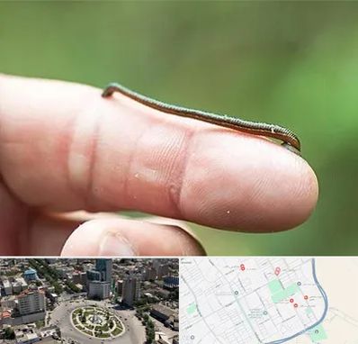 مرکز زالو درمانی در زرافشان اسلامشهر