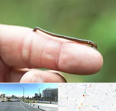 مرکز زالو درمانی در بلوار کلاهدوز مشهد