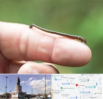 مرکز زالو درمانی در کارگر جنوبی