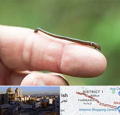 مرکز زالو درمانی در فرمانیه