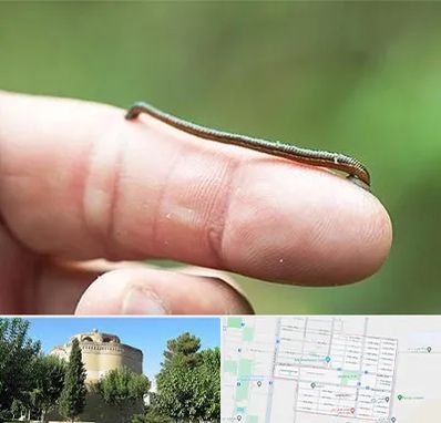 مرکز زالو درمانی در مرداویج اصفهان