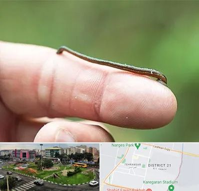 مرکز زالو درمانی در تهرانسر