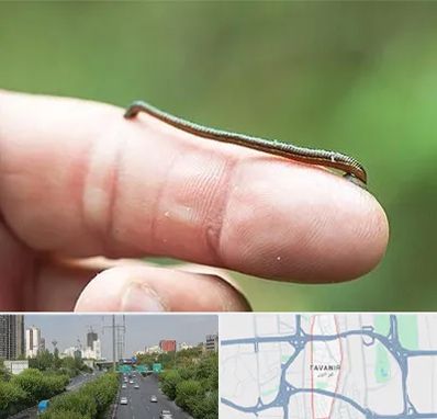 مرکز زالو درمانی در توانیر