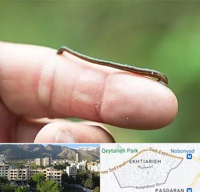 مرکز زالو درمانی در اختیاریه