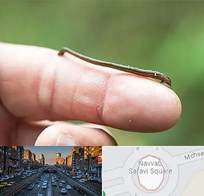 مرکز زالو درمانی در نواب