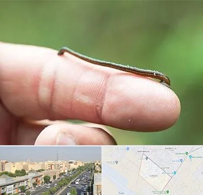 مرکز زالو درمانی در کیانمهر کرج