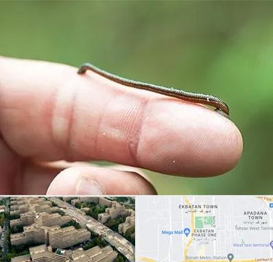 مرکز زالو درمانی در اکباتان