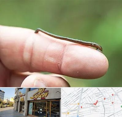 مرکز زالو درمانی در عطاران قم