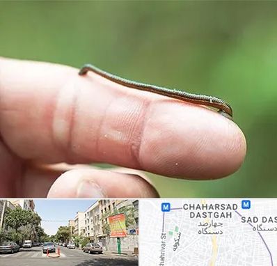 مرکز زالو درمانی در چهارصد دستگاه