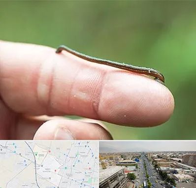 مرکز زالو درمانی در حصارک کرج