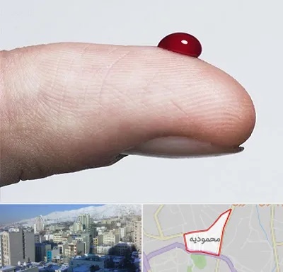 مرکز فصد خون در محمودیه