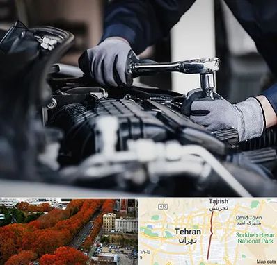 تعمیرکار خودرو در ولیعصر 